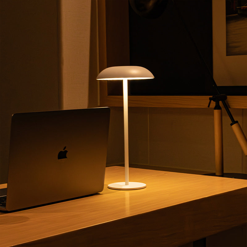 IJzeren elegante lamp
