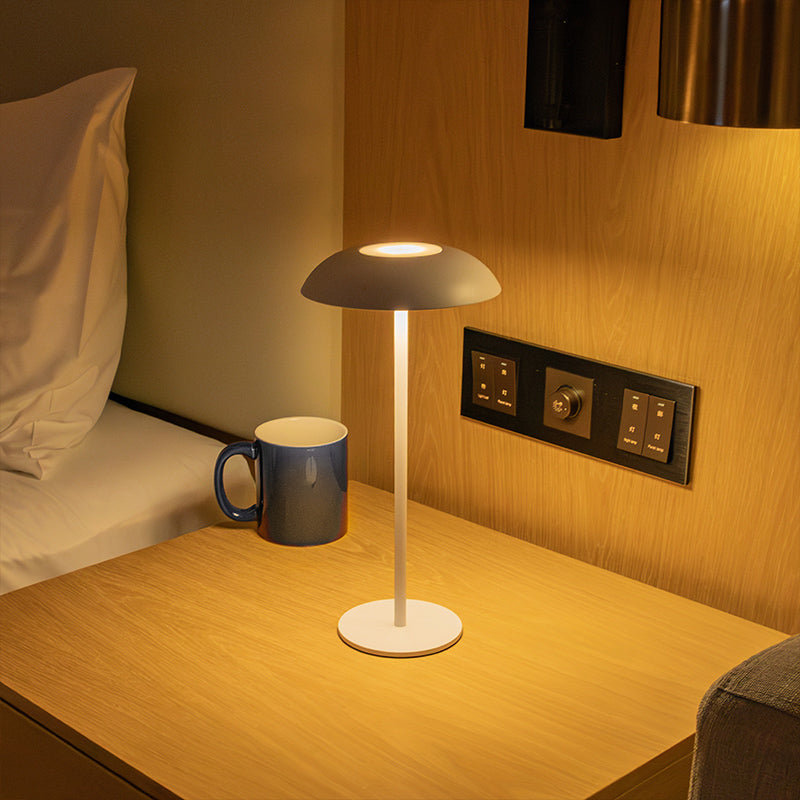 IJzeren elegante lamp