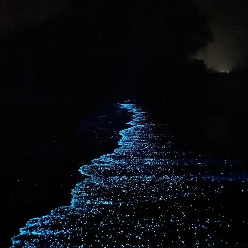 GlowPebbles™ Lichtgevende stenen