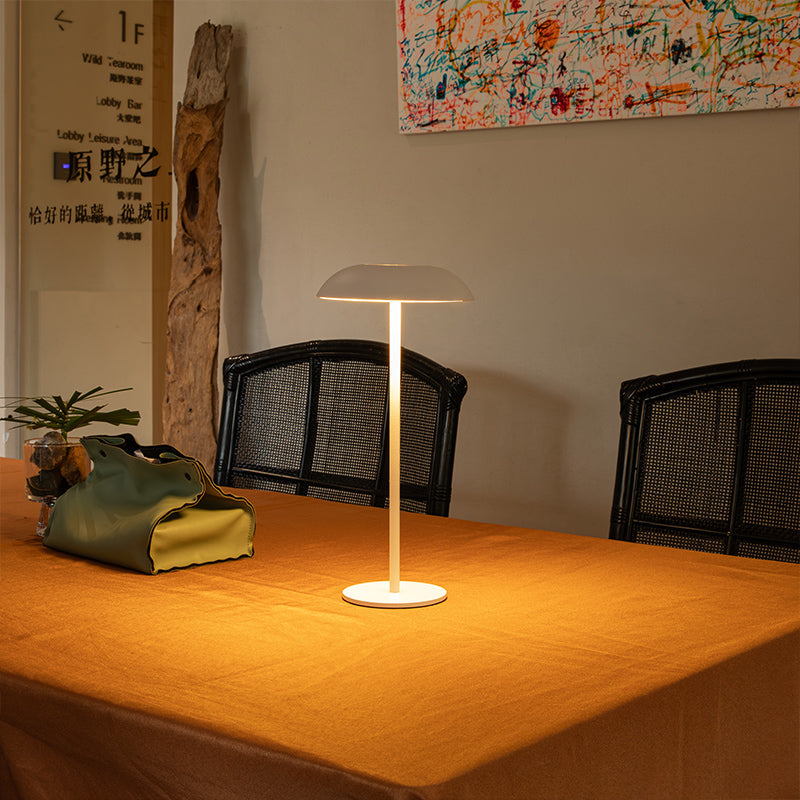 IJzeren elegante lamp