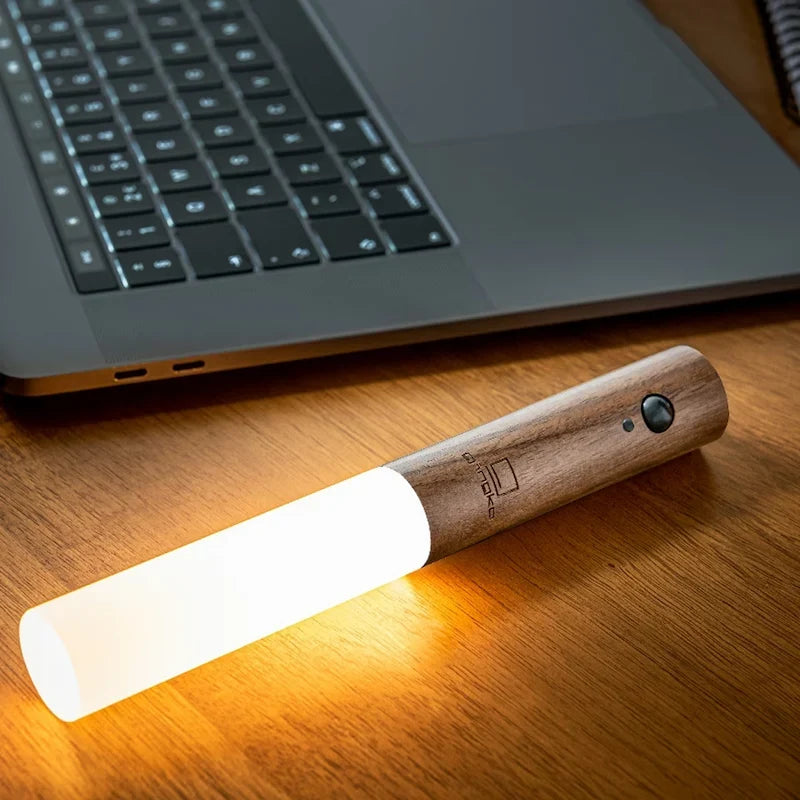 Moderne fakkel bewegingslicht